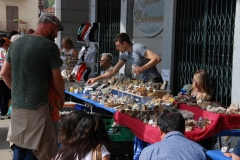 MineraLuserna-2018-24
